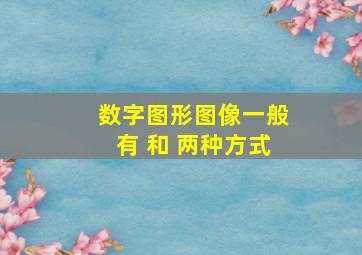 数字图形图像一般有 和 两种方式